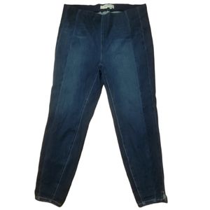 Pilcro and the Letterpress Dark Blue Jeggings